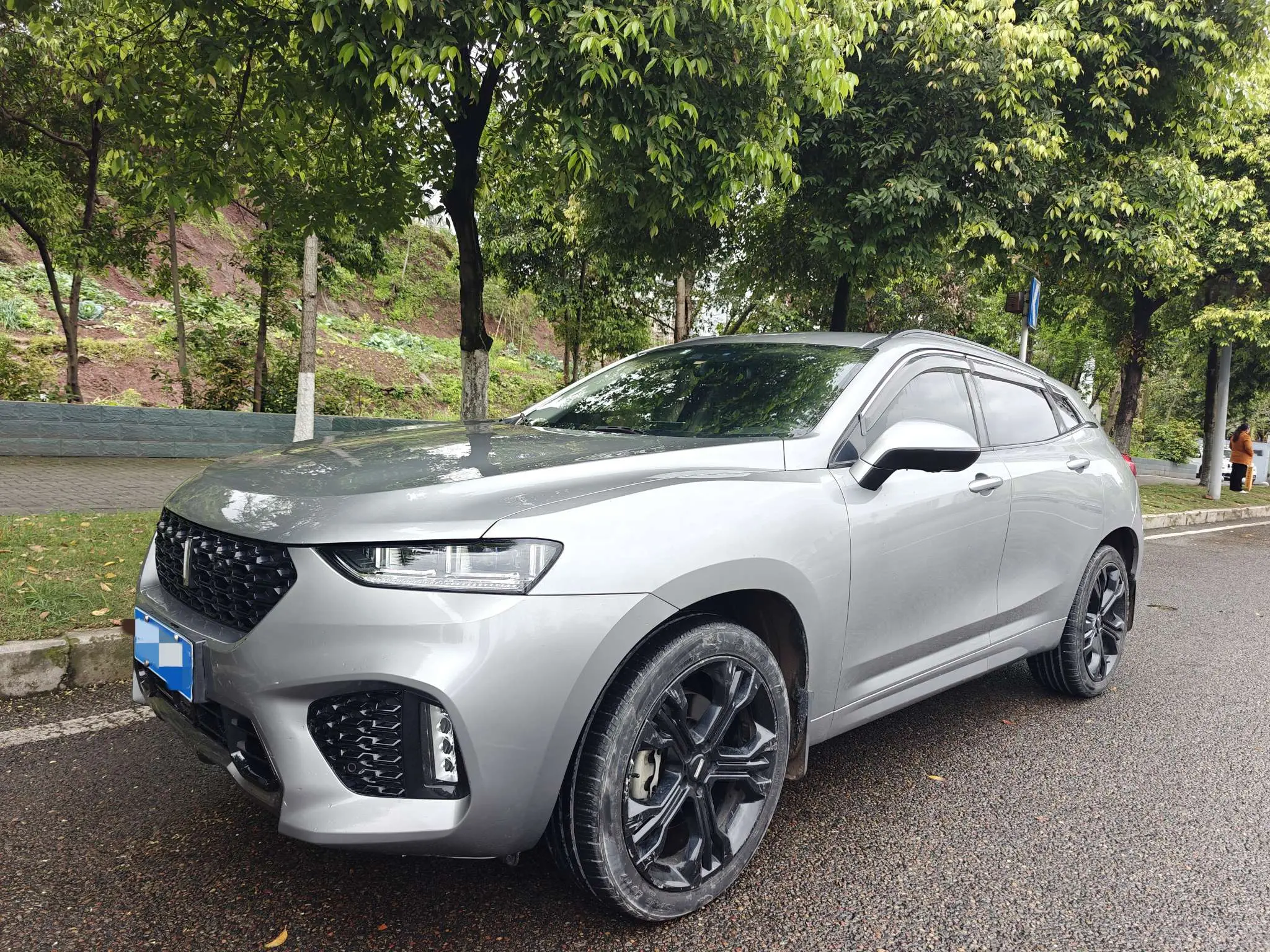 Wey Wei brand VV7