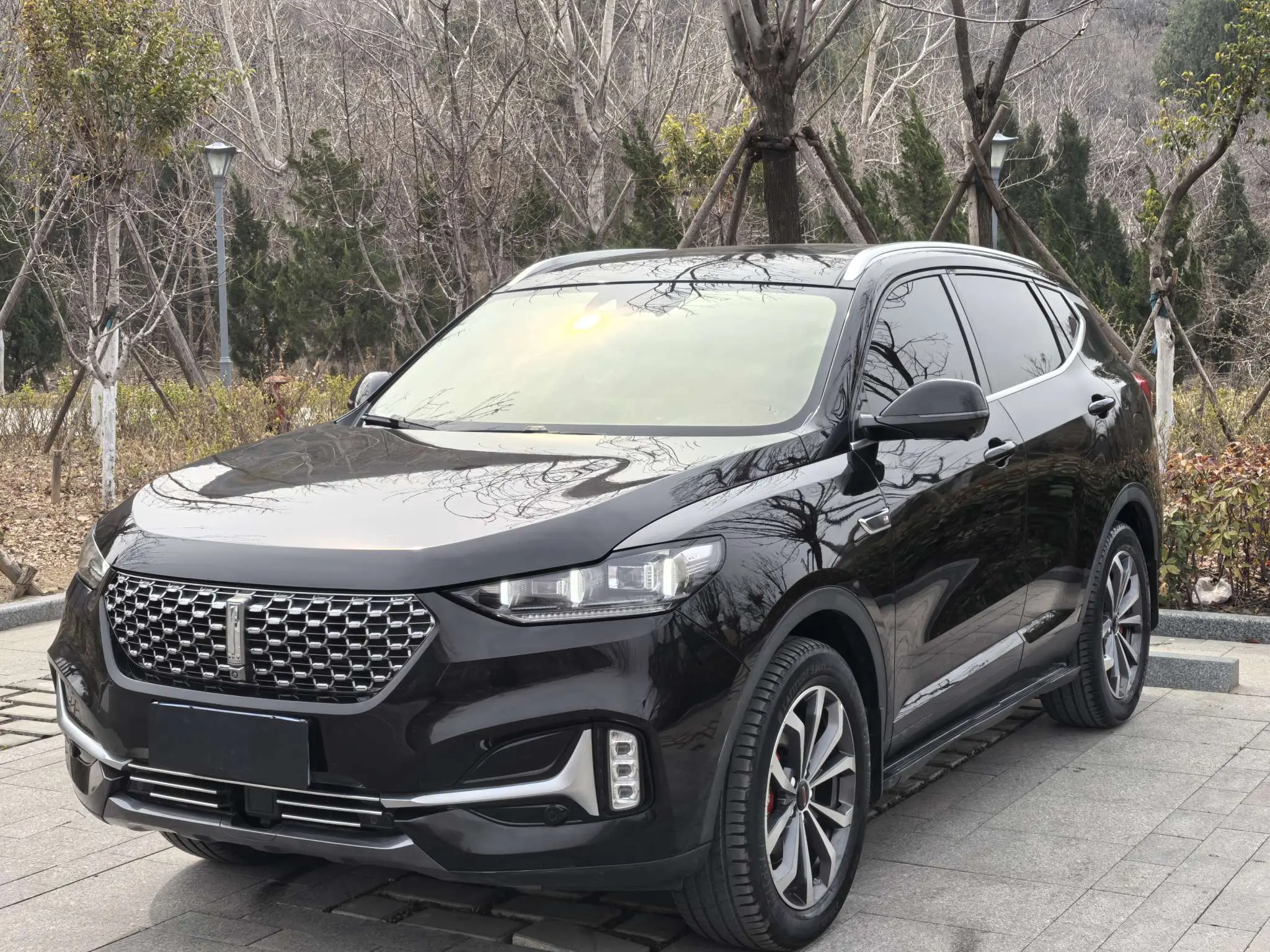 Wey Wei brand VV6