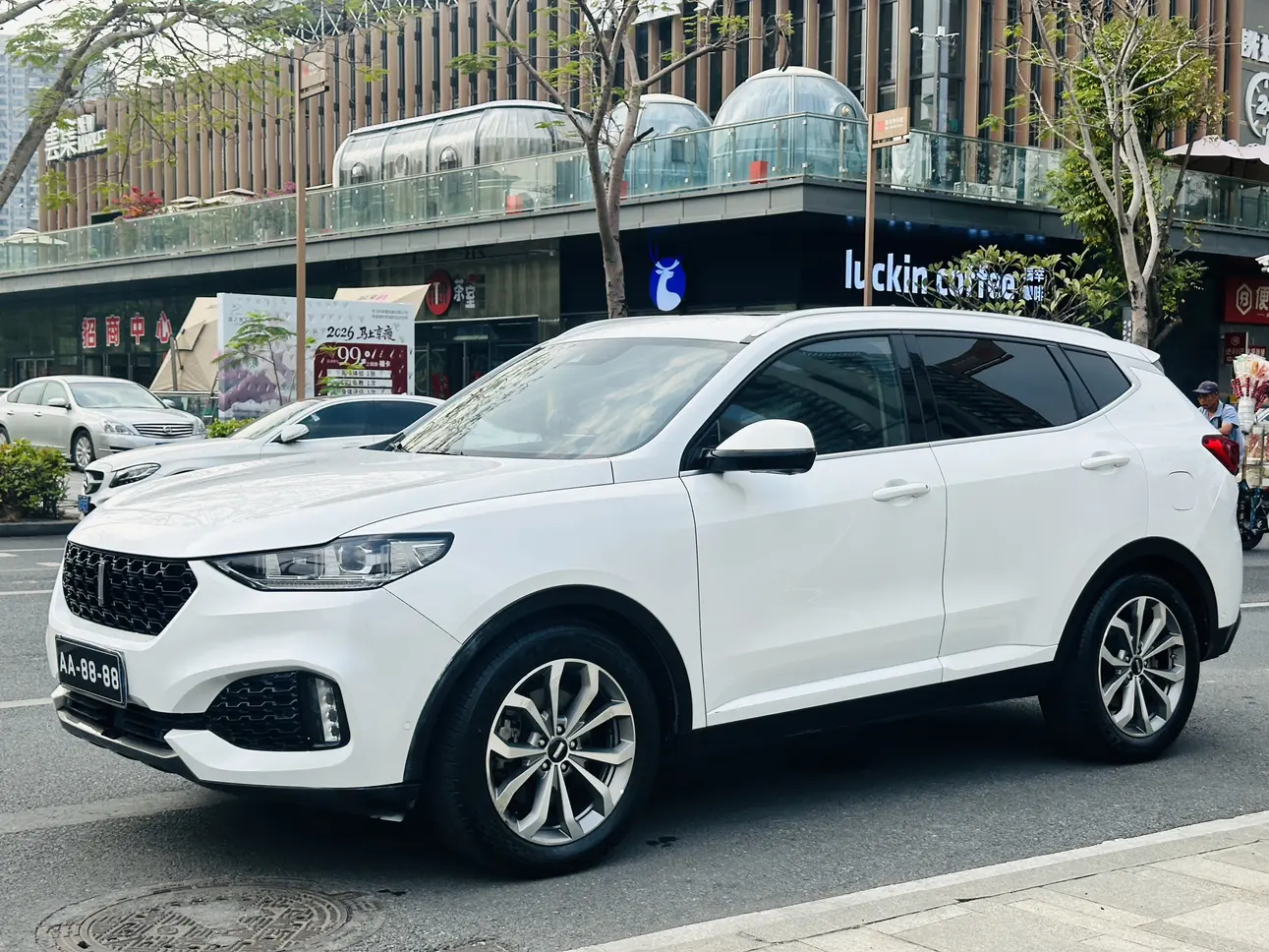 Wey Wei brand VV6