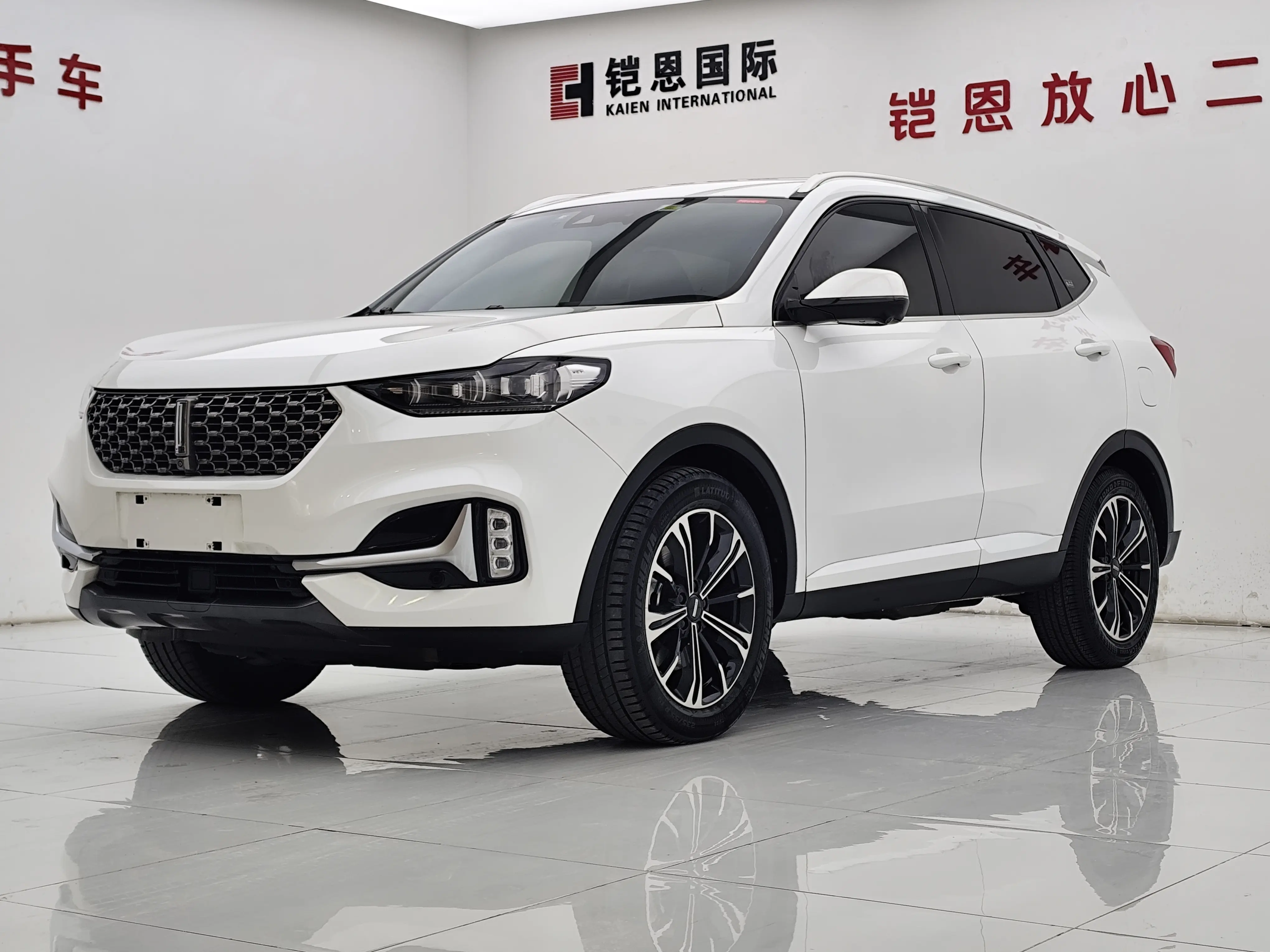 Wey Wei brand VV6