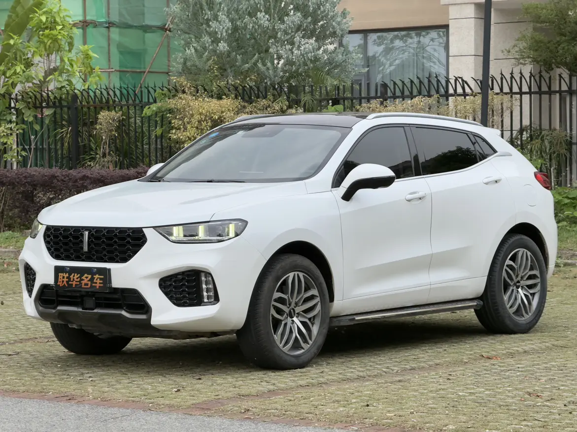 Wey Wei brand VV5