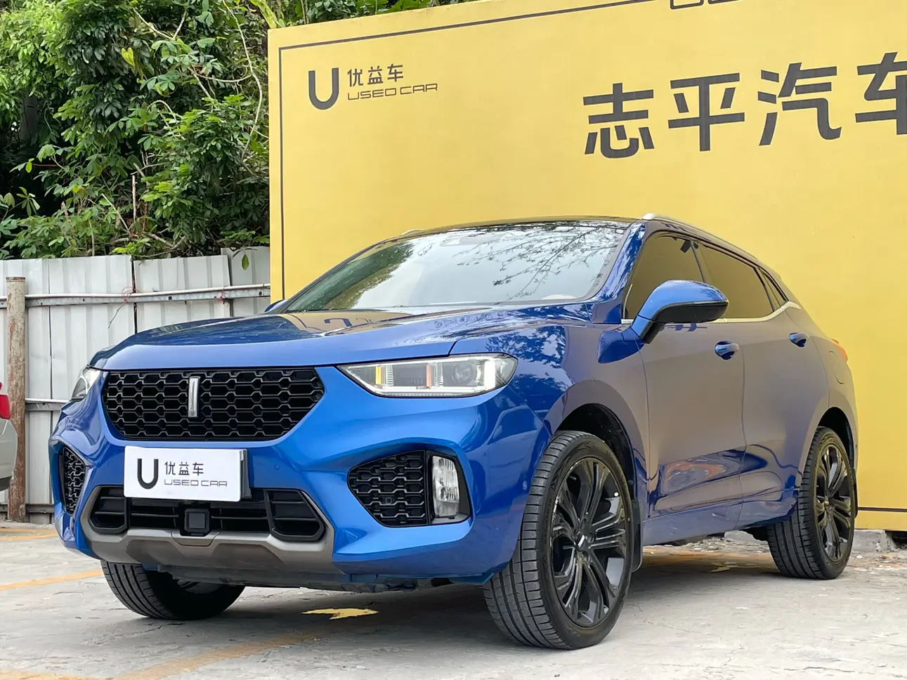 Wey Wei brand VV5