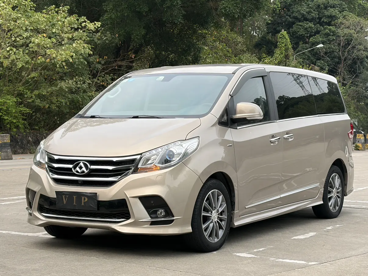 Datong Maxus G10