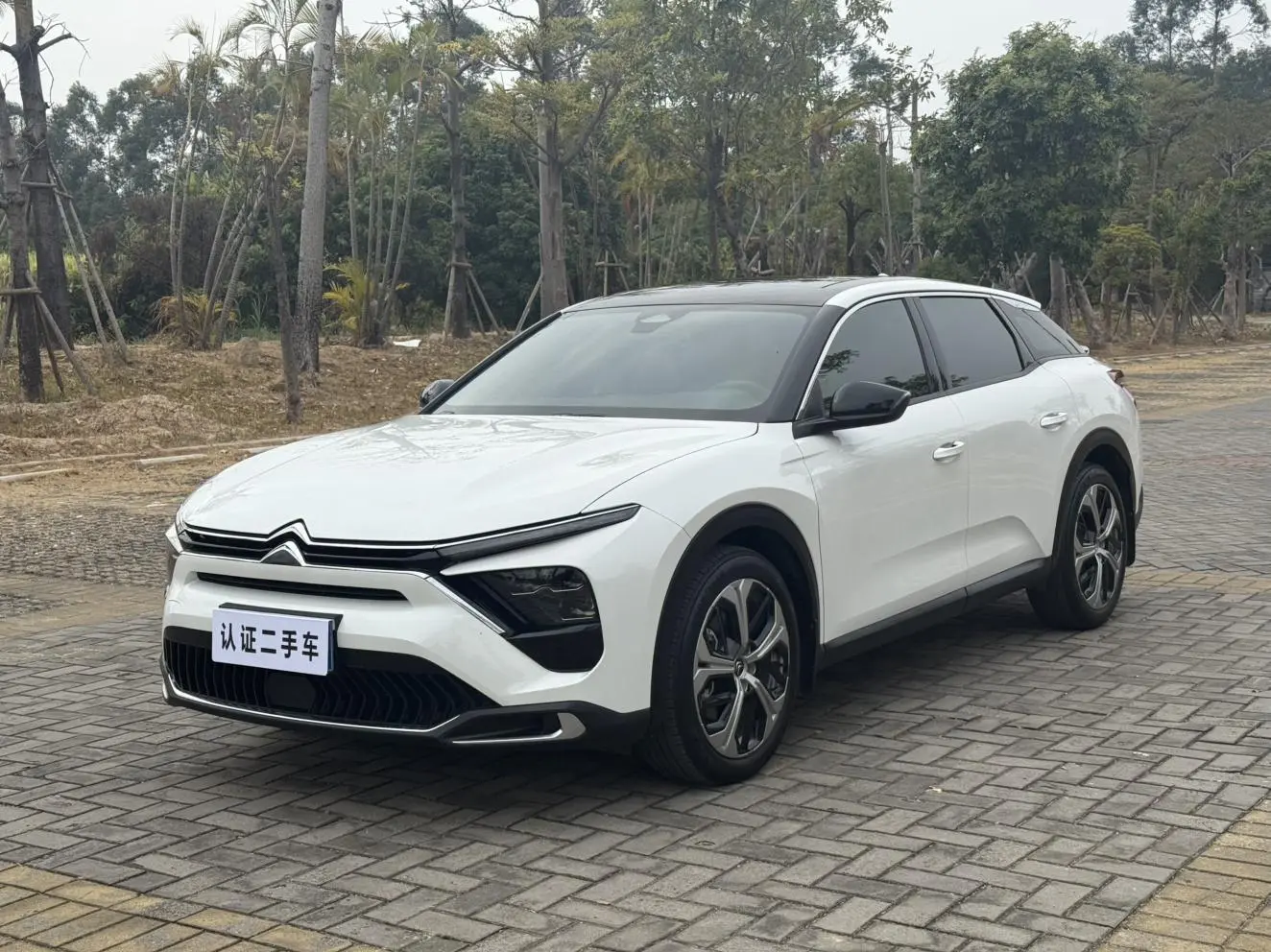 Citroën Versailles C5 X