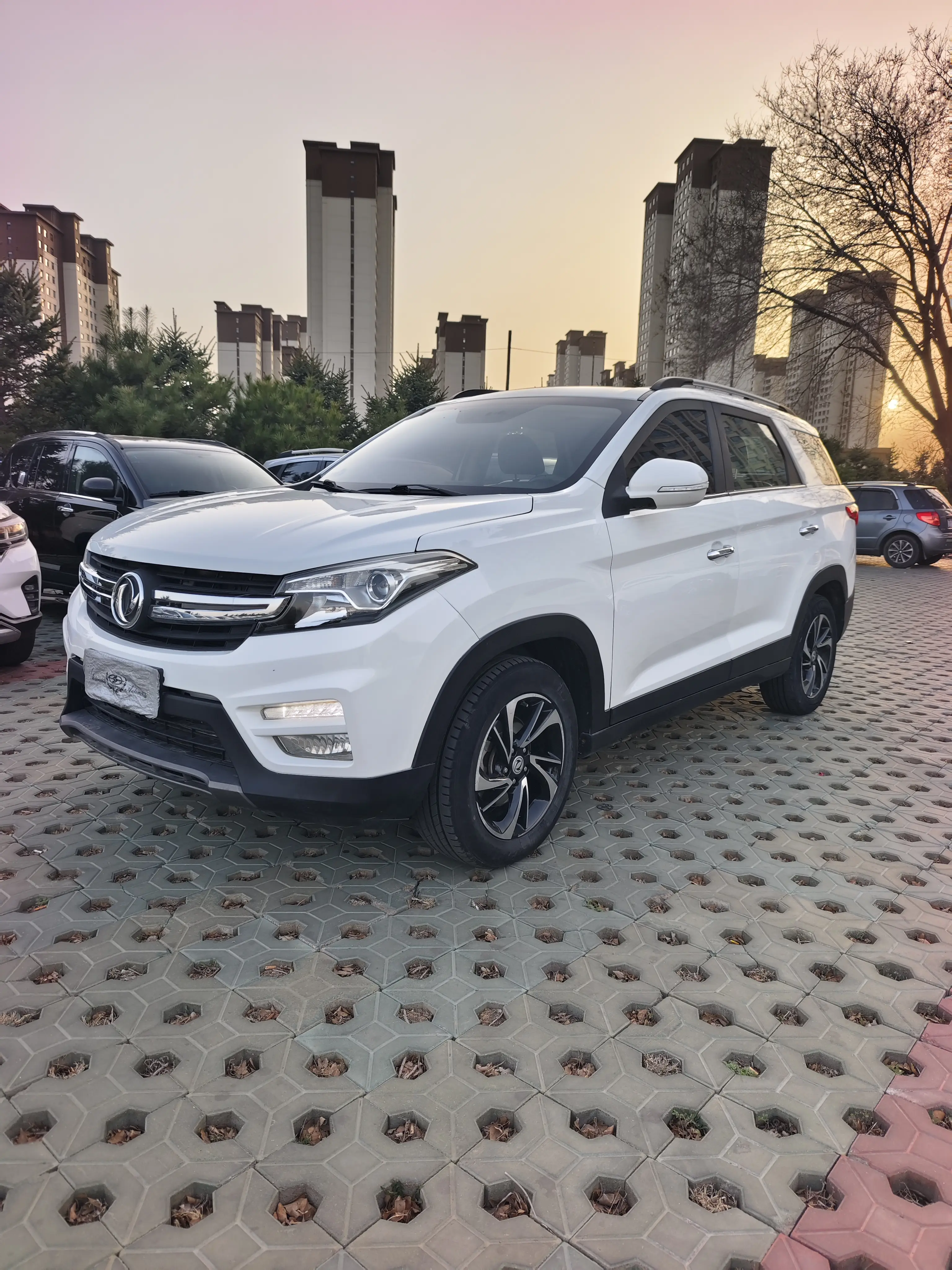 Dongfeng Scenery S560