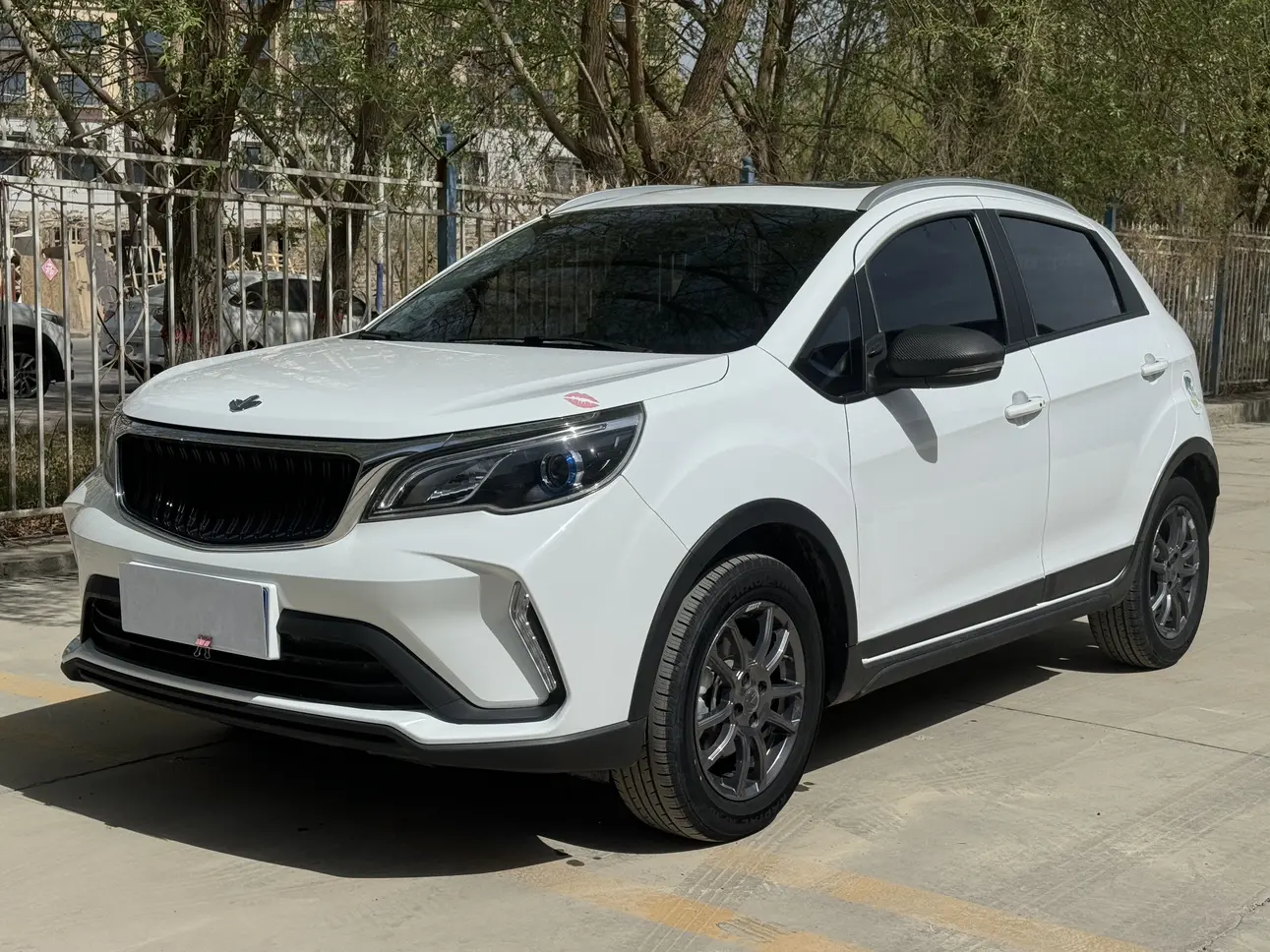 Ruilan Rui Lan X3 PRO