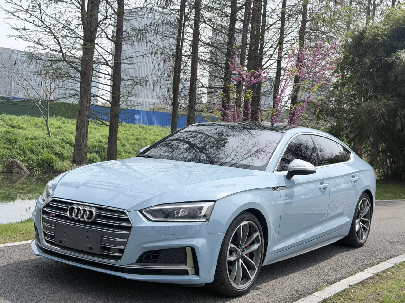 Audi S5