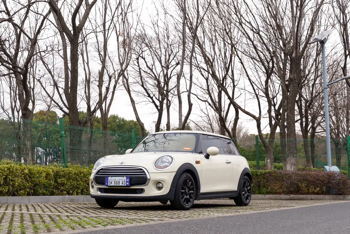 MINI MINI