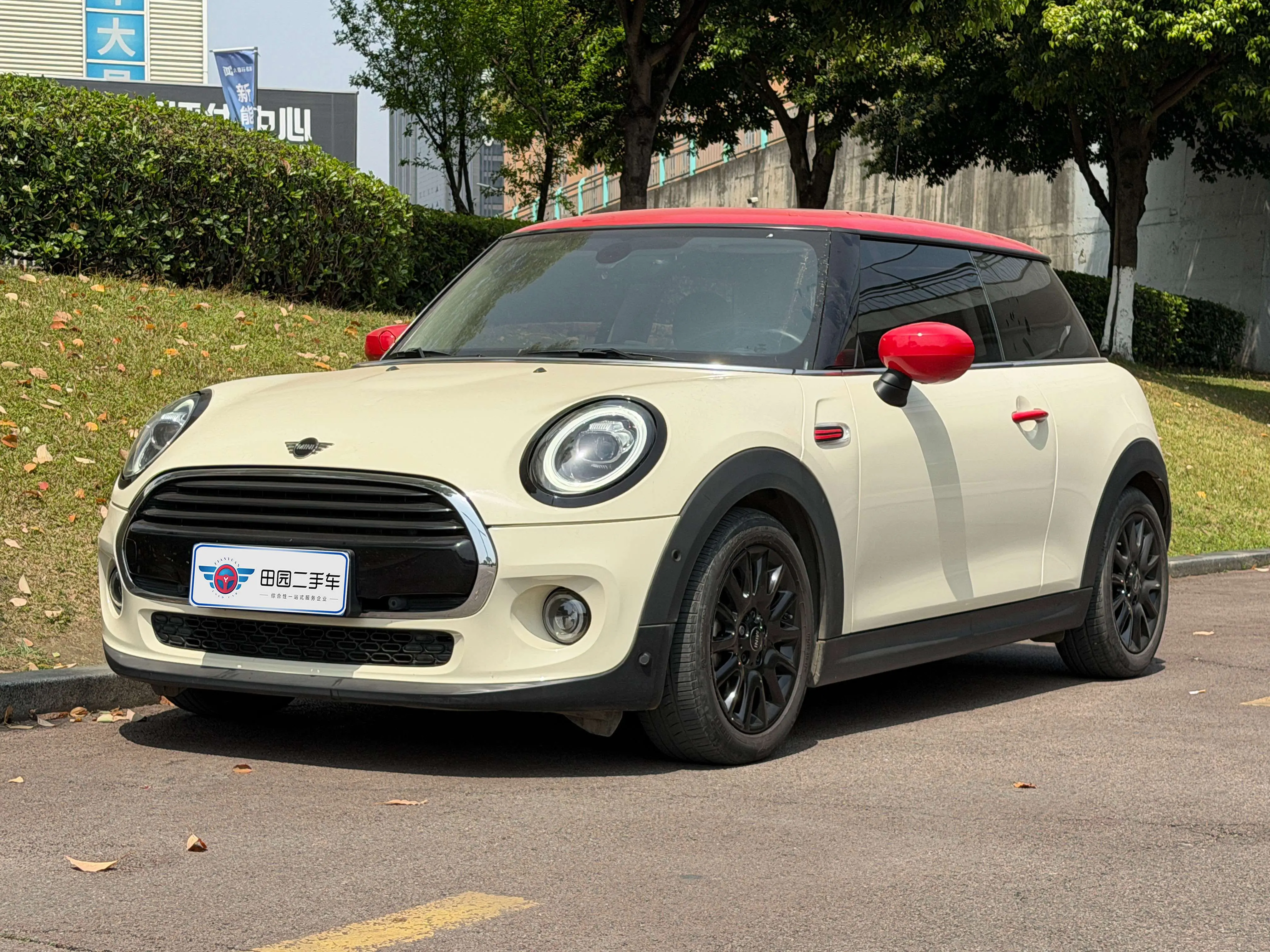 MINI MINI