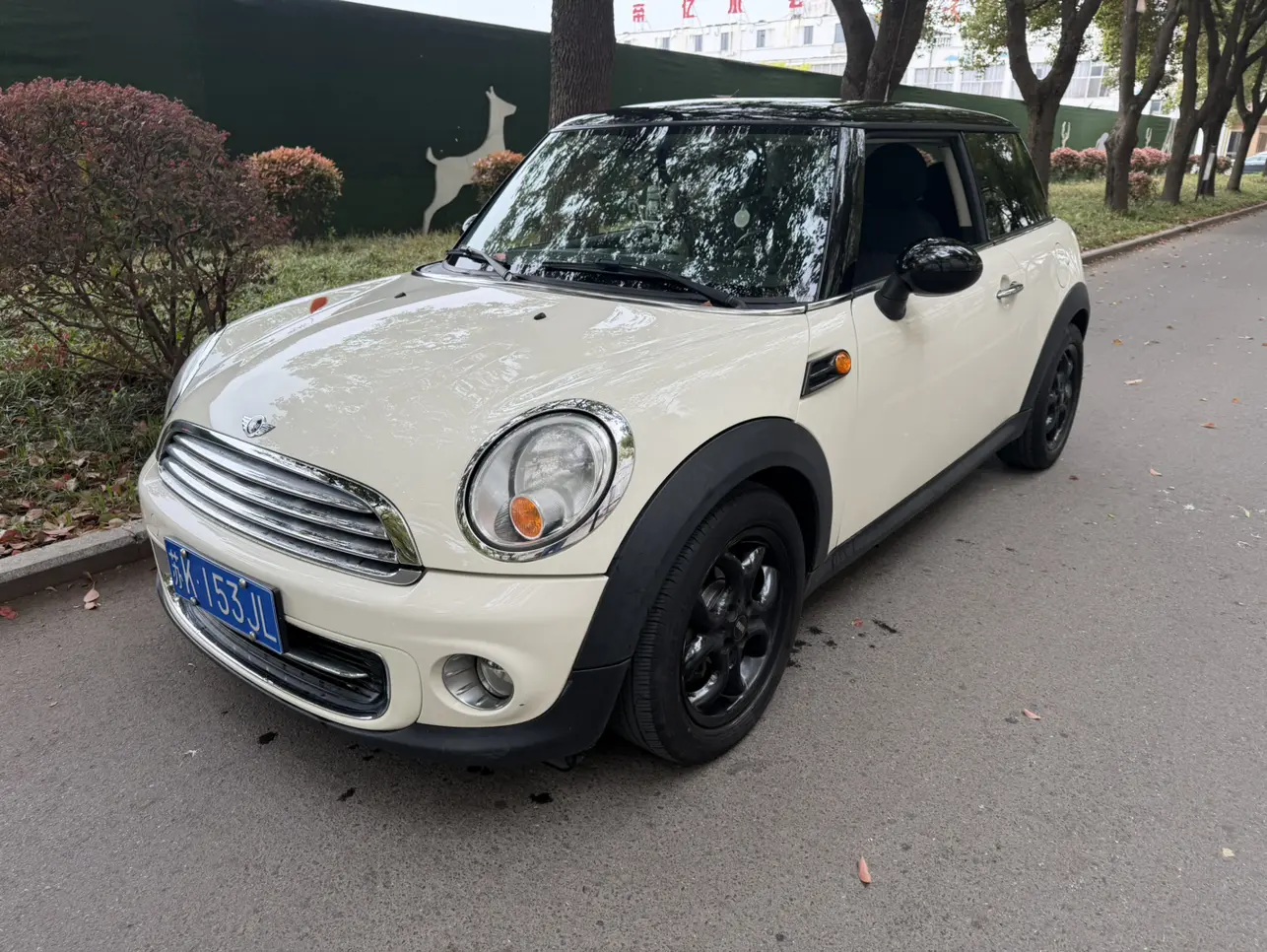 MINI MINI