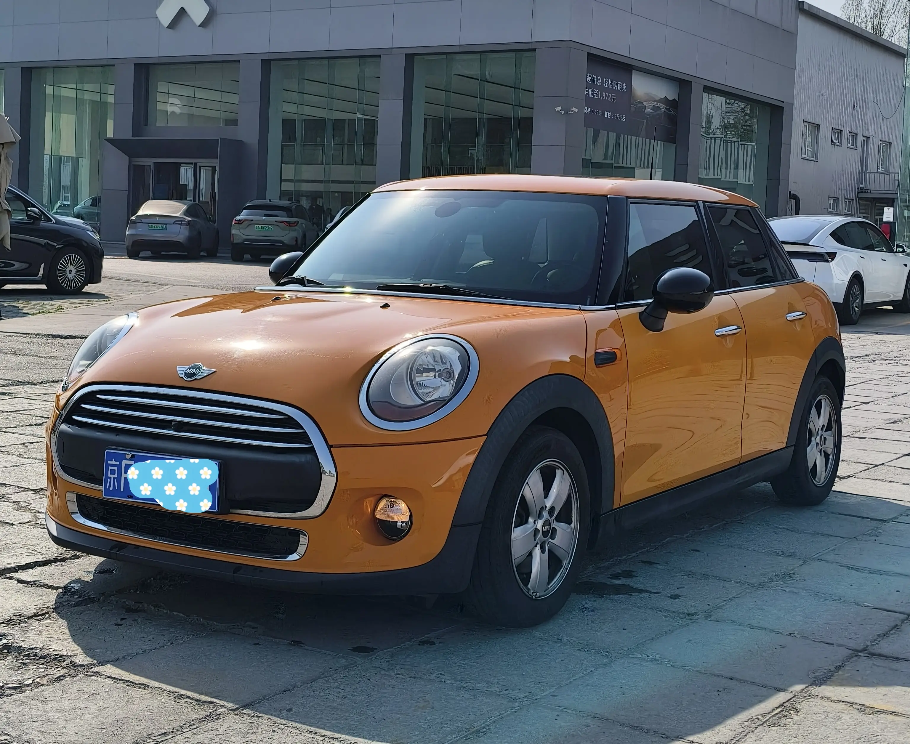MINI MINI