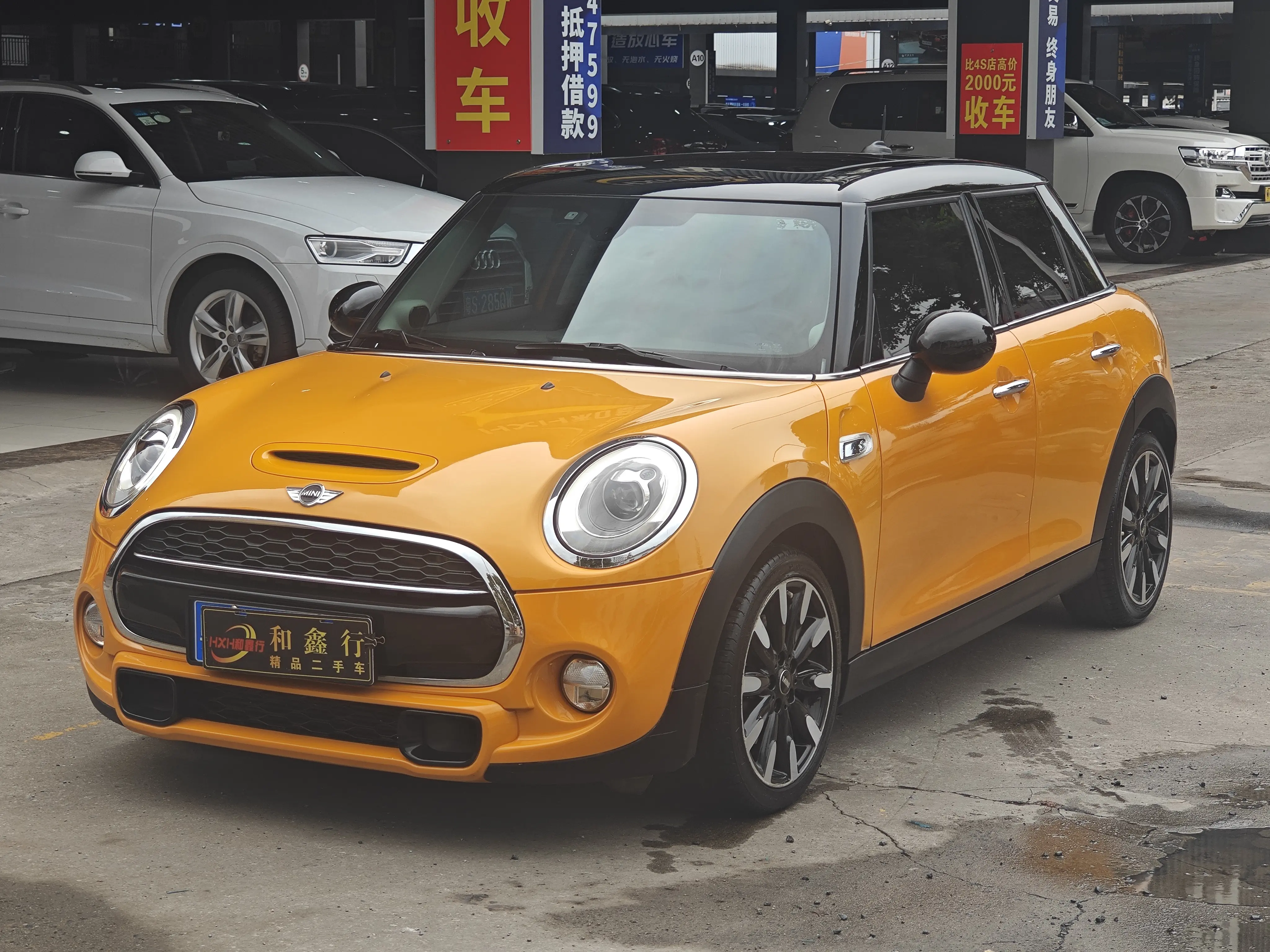 MINI MINI