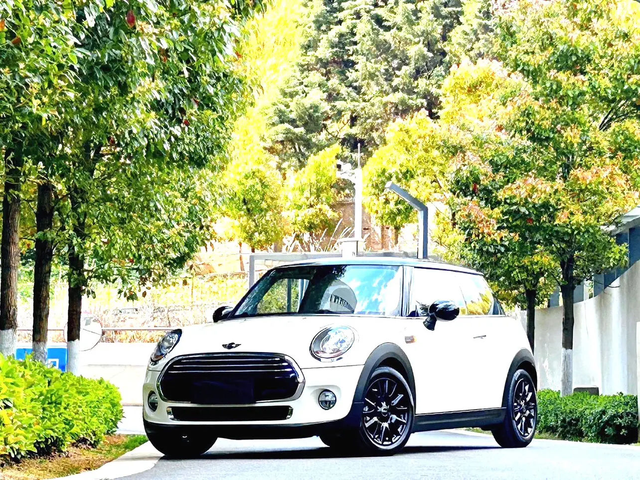 MINI MINI
