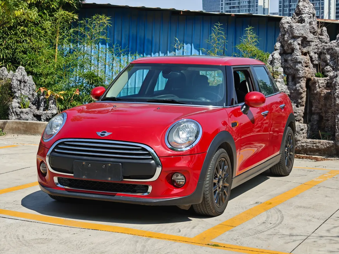 MINI MINI
