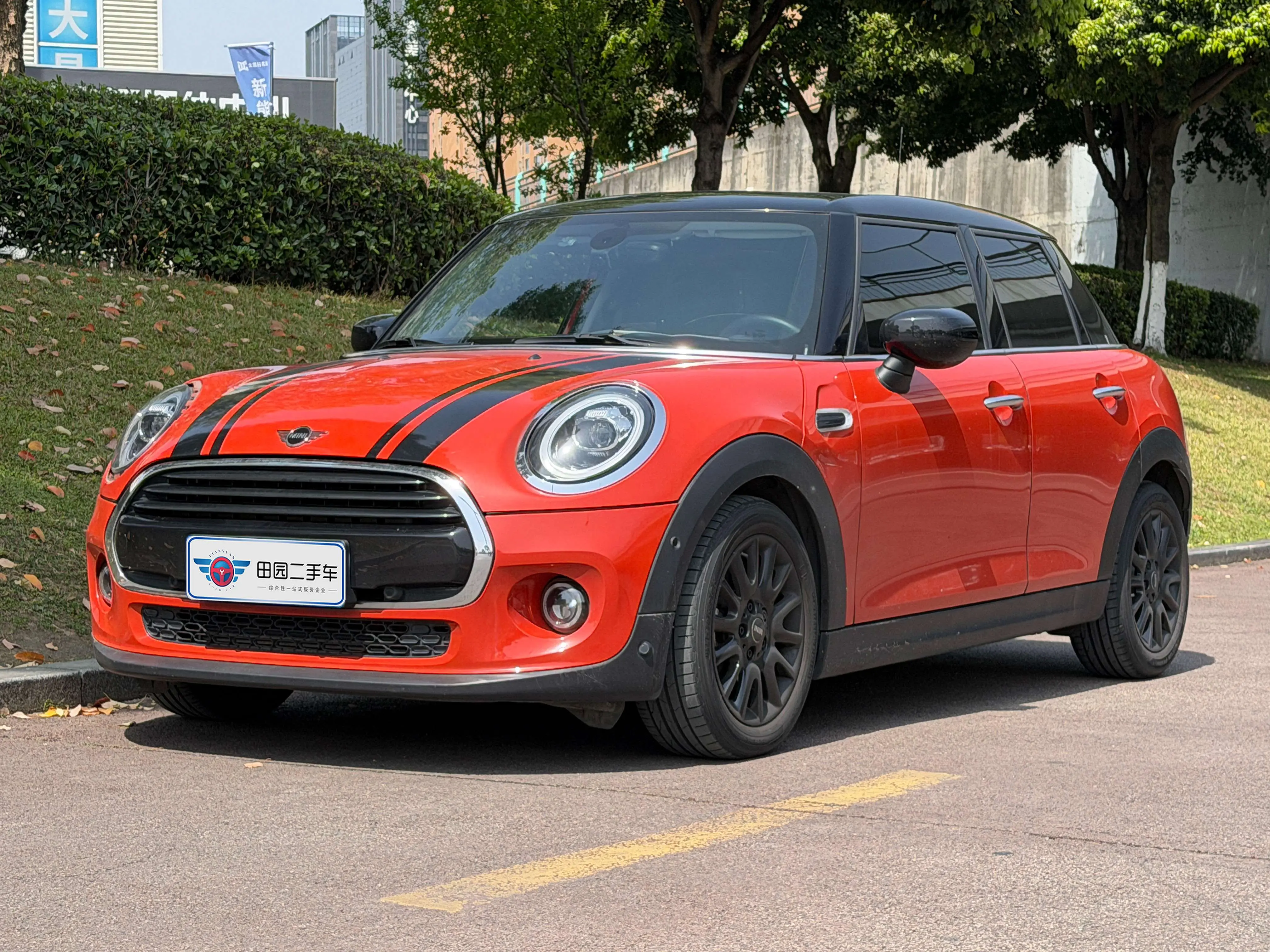MINI MINI