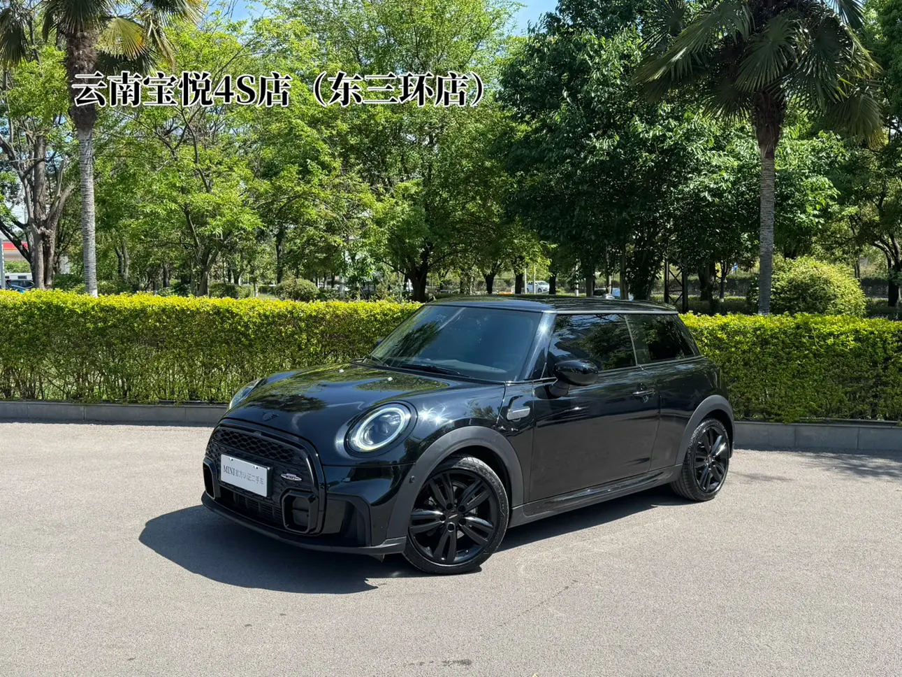 MINI MINI