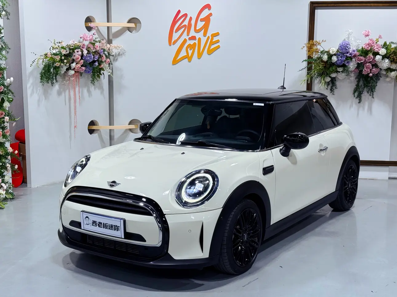 MINI MINI