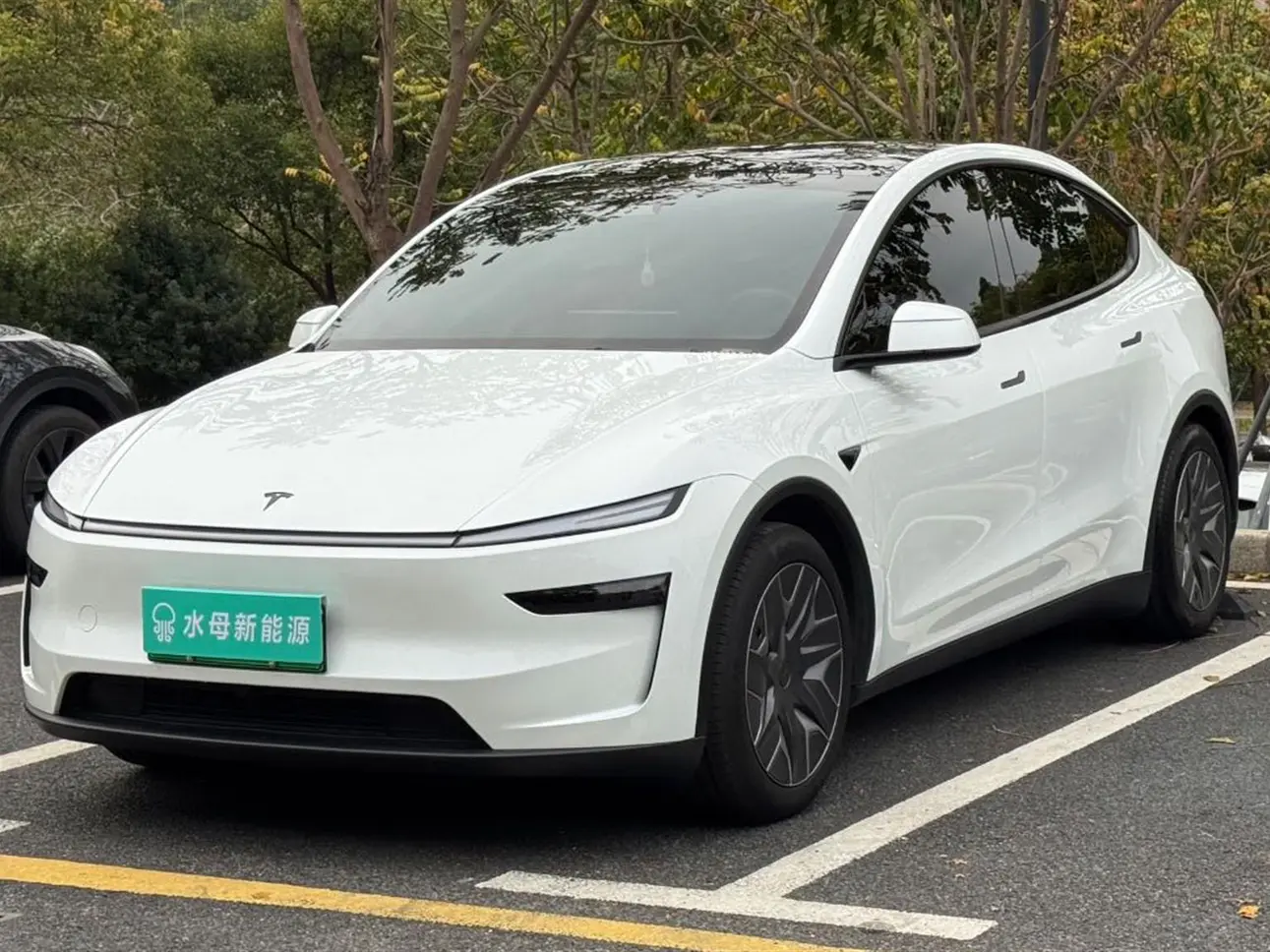 Tesla Model YL
