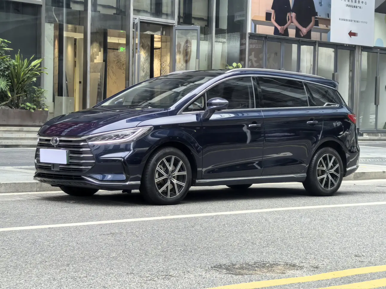 BYD Song MAX DM