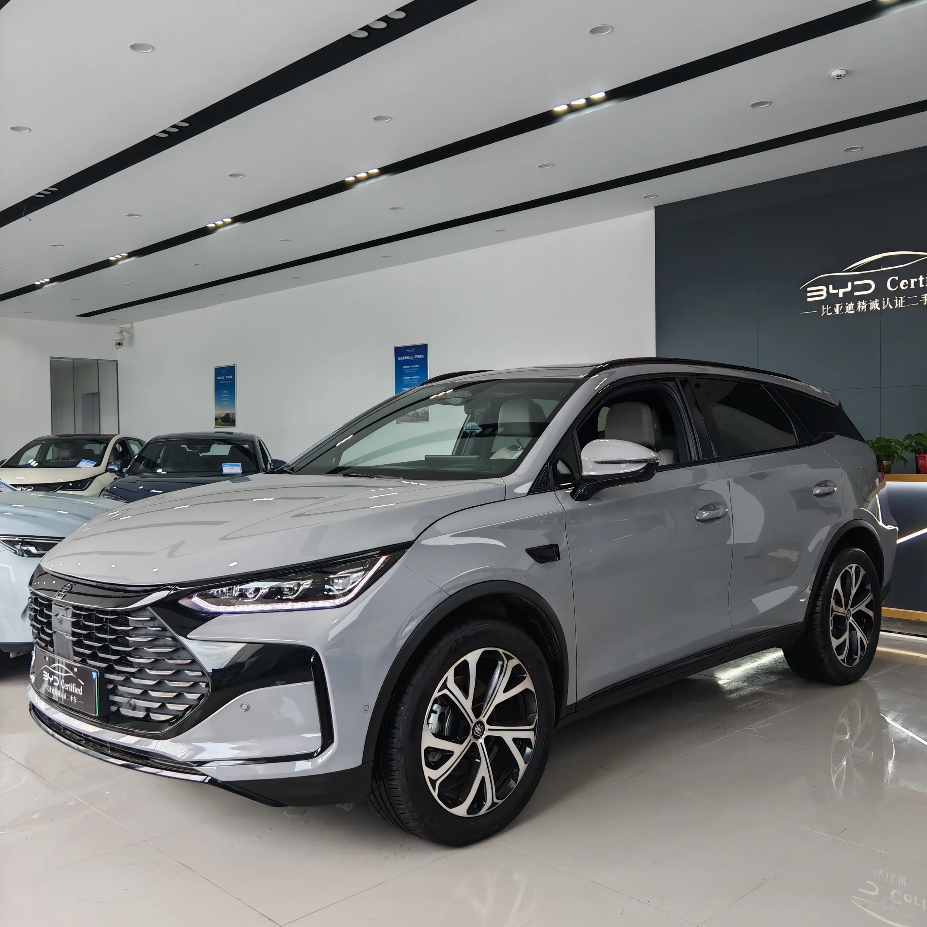 BYD Tang DM