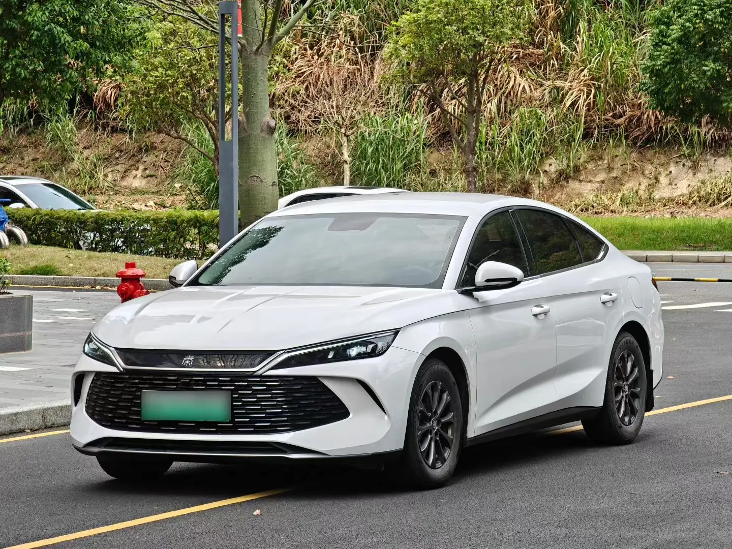 BYD Qin L DM