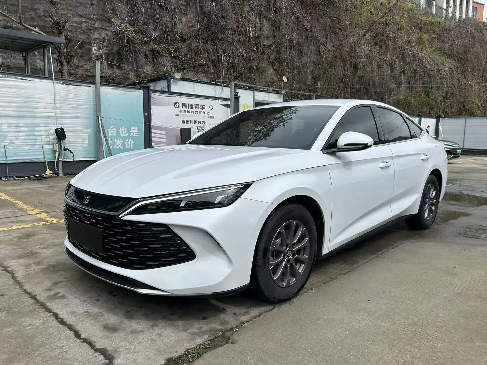 BYD Qin L DM