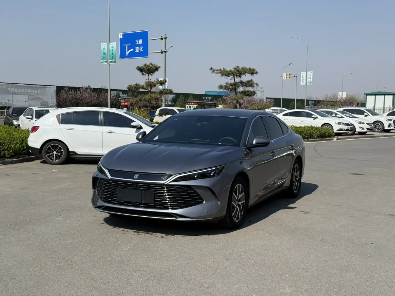 BYD Qin L DM