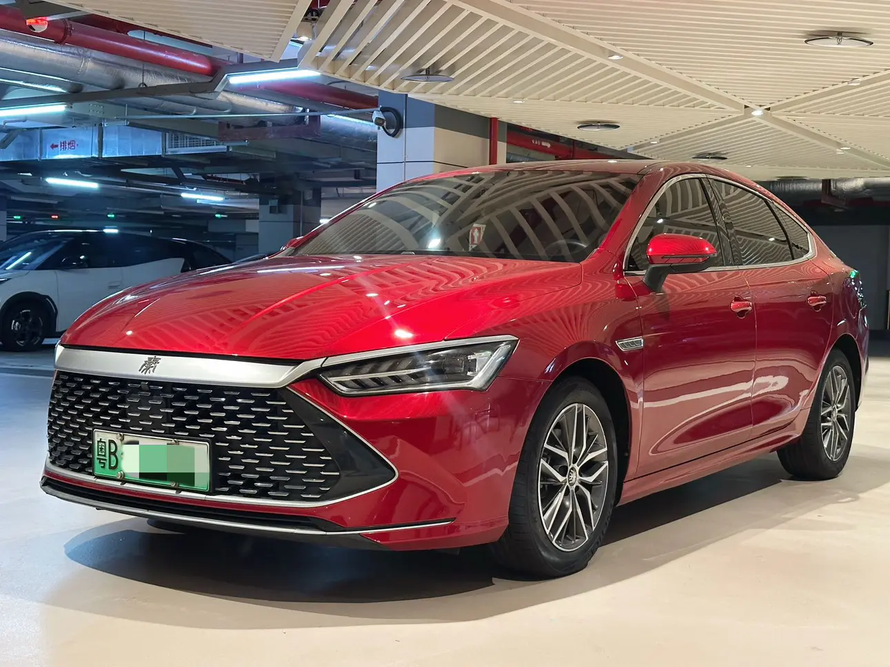 BYD Qin PLUS DM