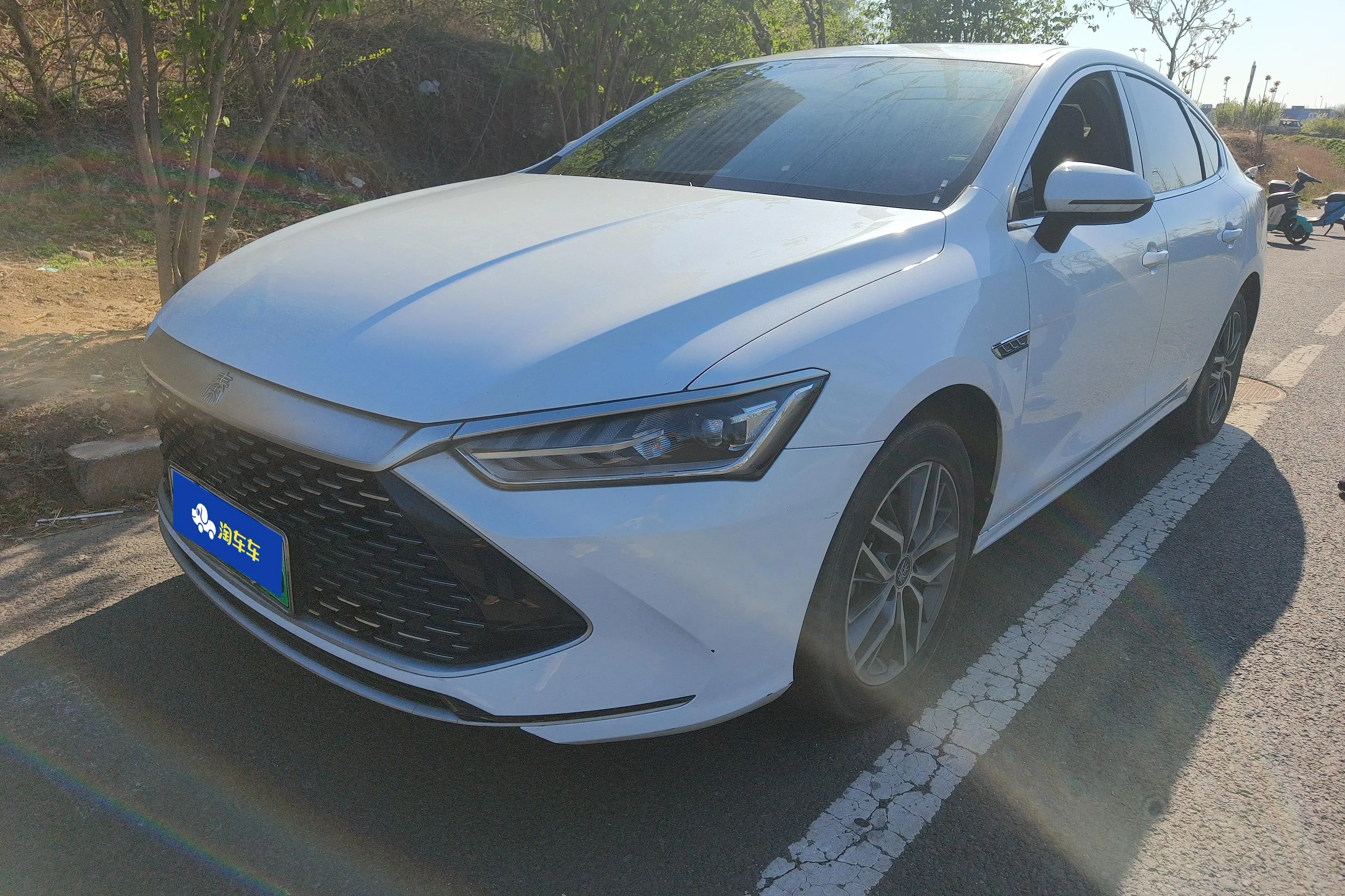 BYD Qin PLUS DM