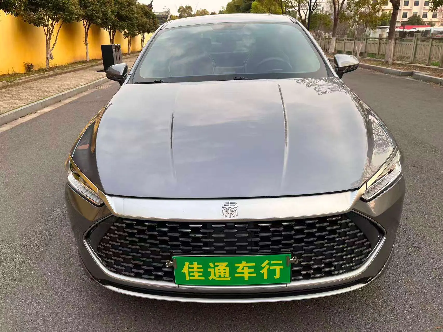 BYD Qin PLUS DM