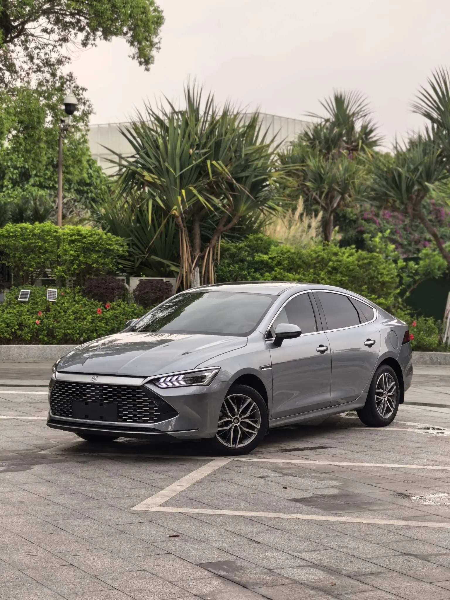 BYD Qin PLUS DM