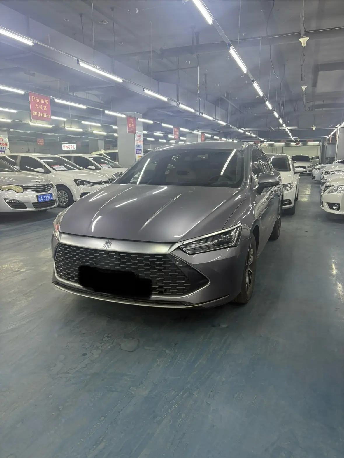 BYD Qin PLUS DM