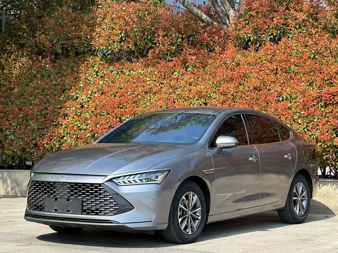 BYD Qin PLUS DM
