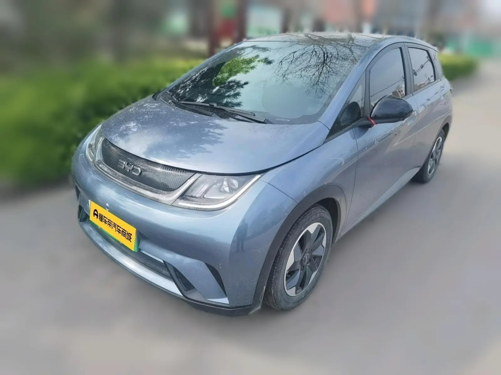 BYD Dolphin