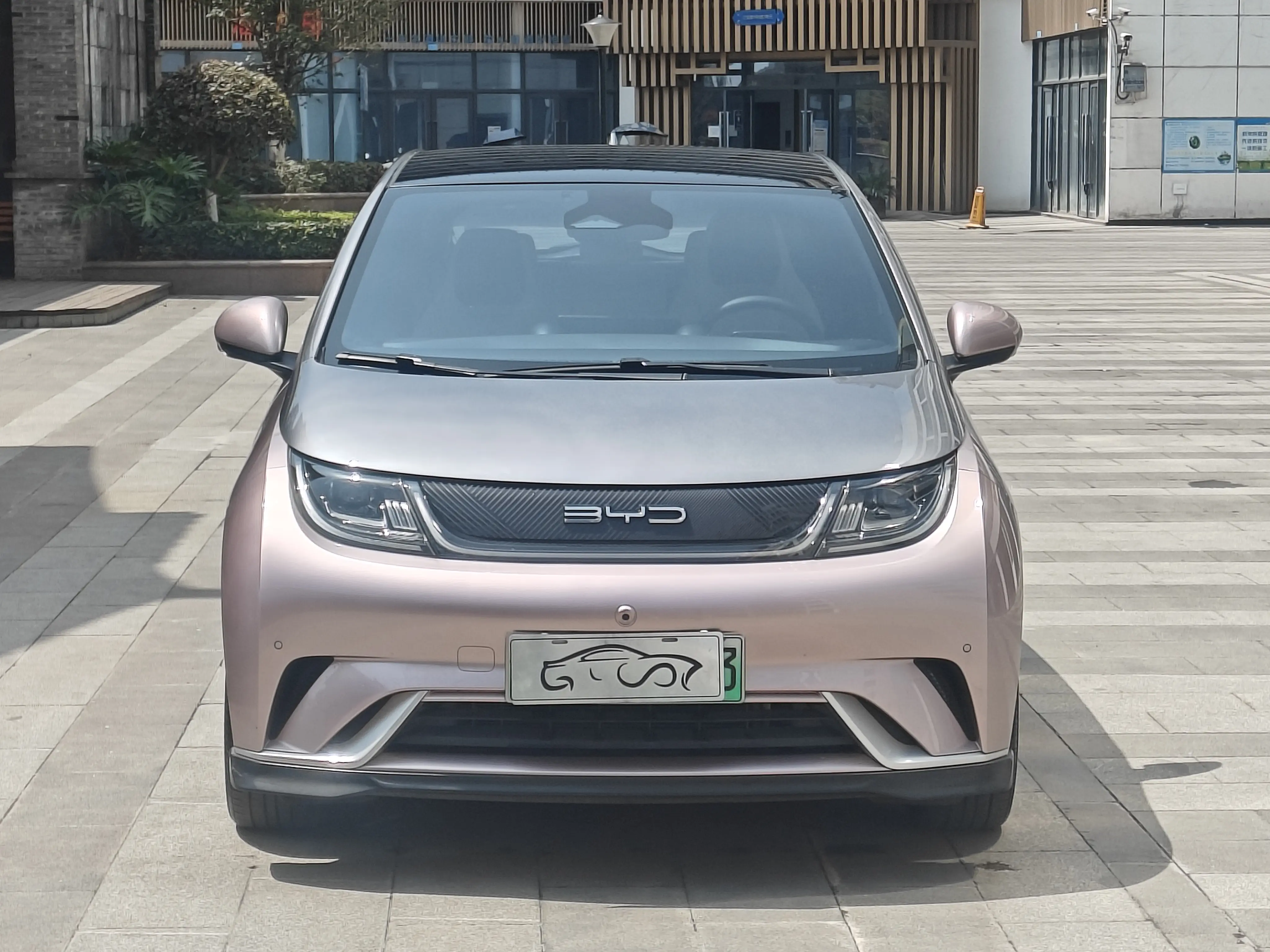 BYD Dolphin