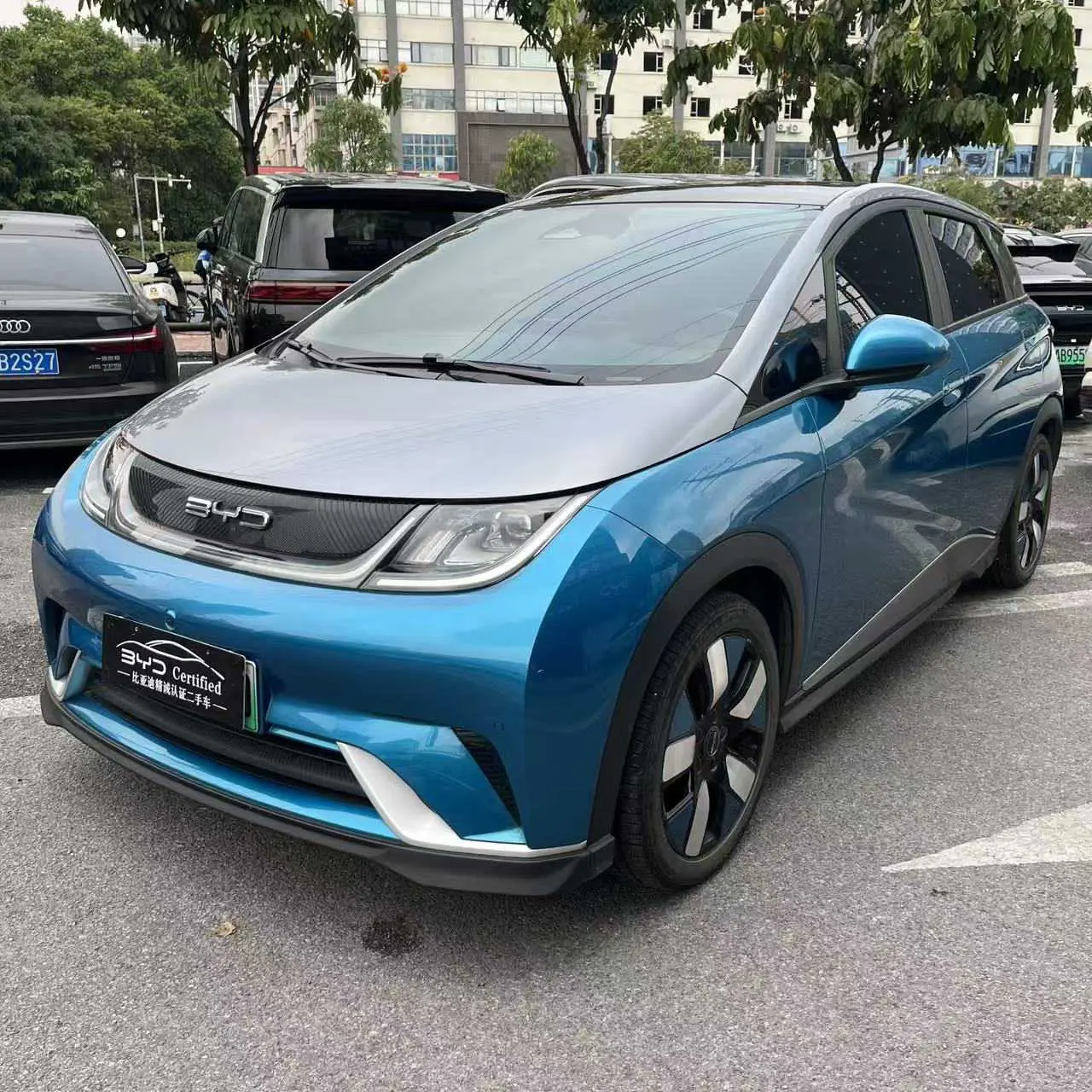 BYD Dolphin