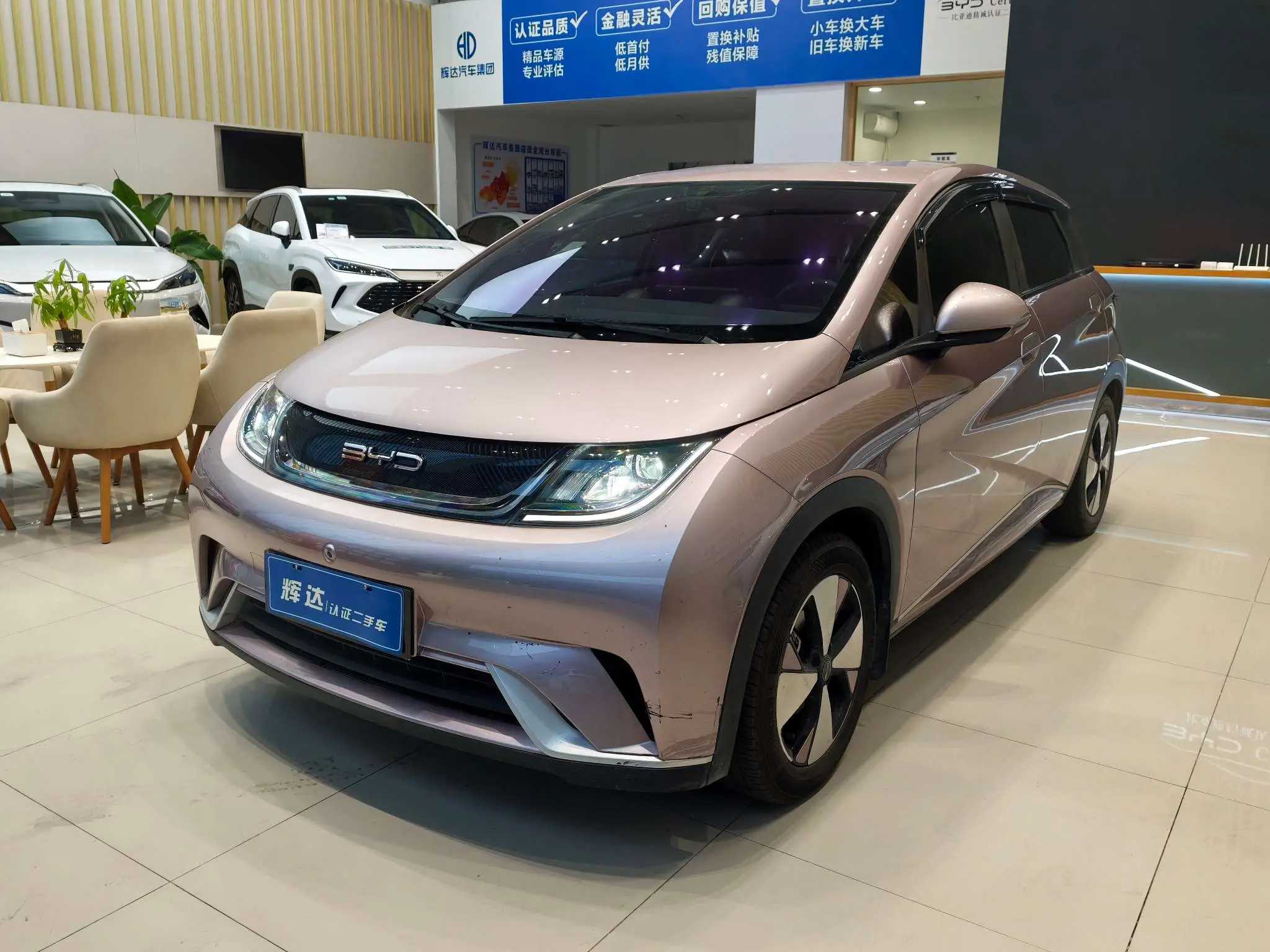 BYD Dolphin