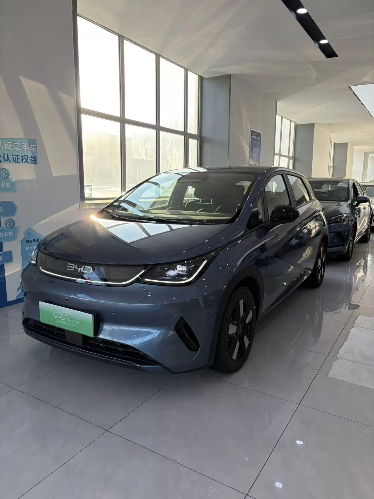 BYD Dolphin