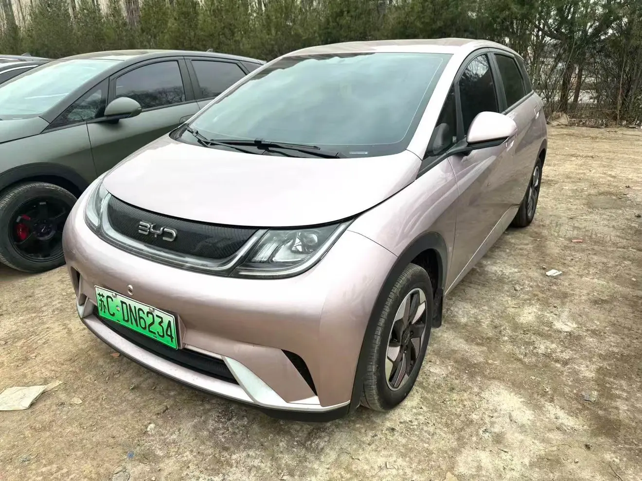 BYD Dolphin