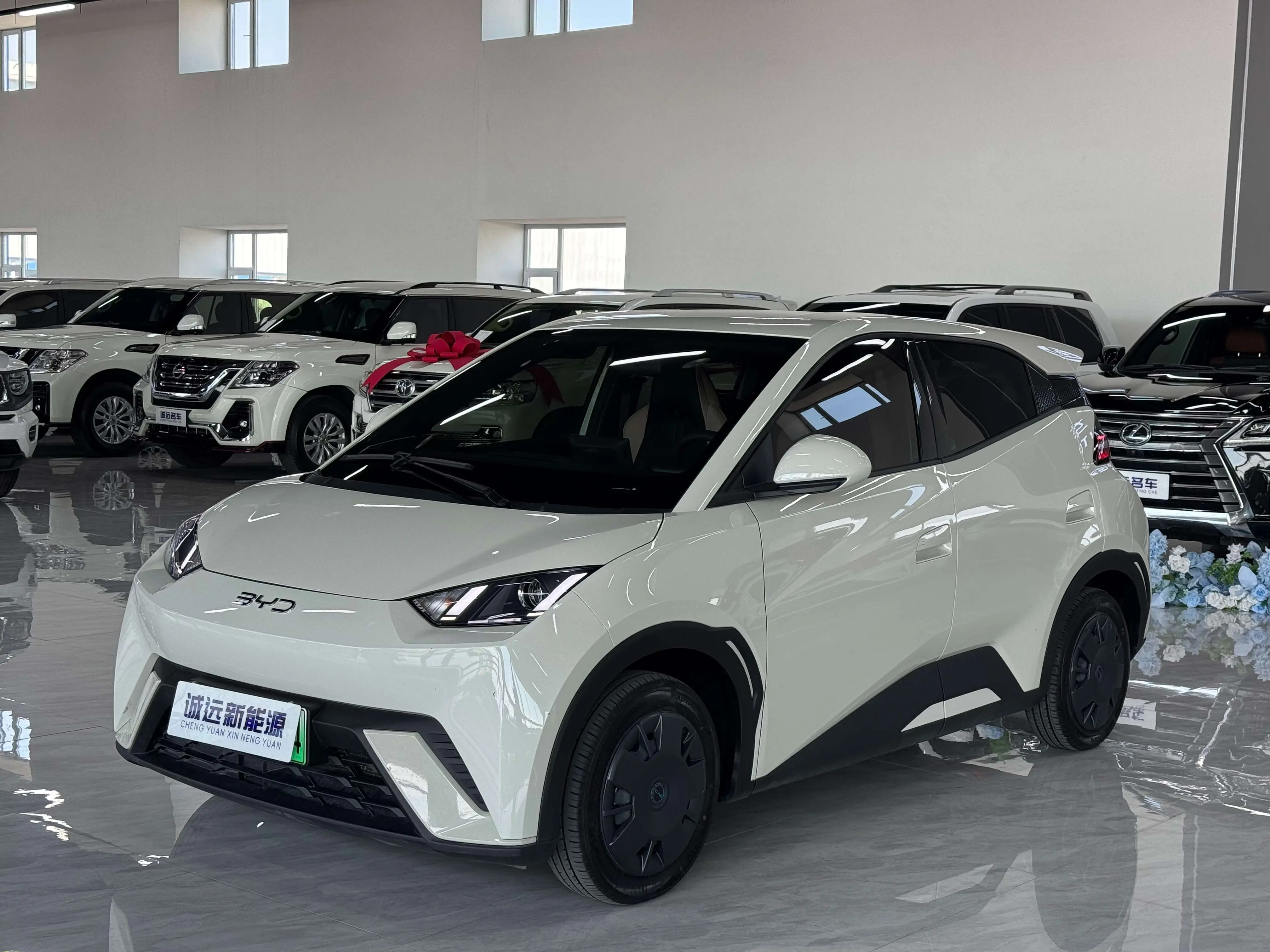 BYD Seagull