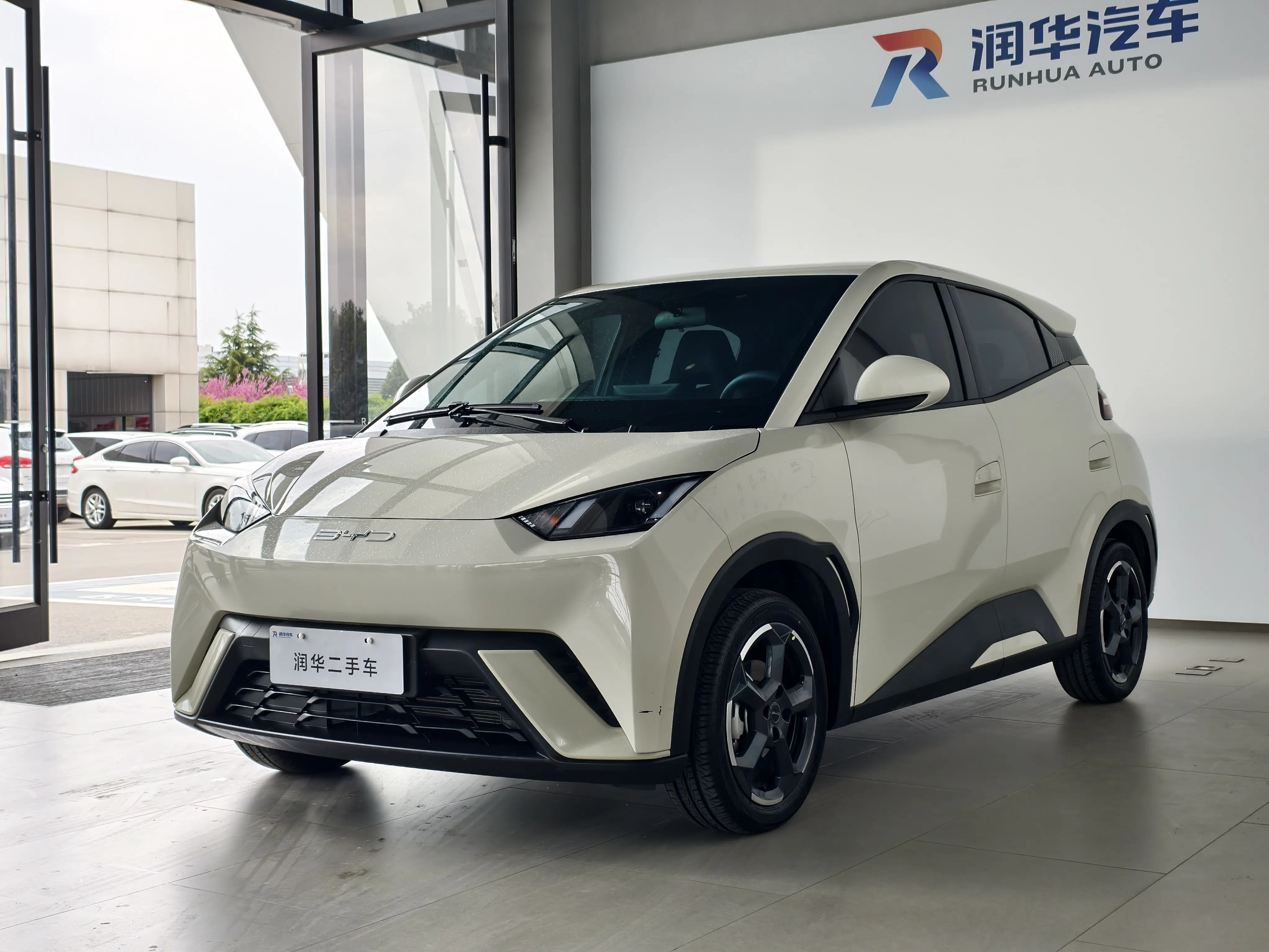 BYD Seagull