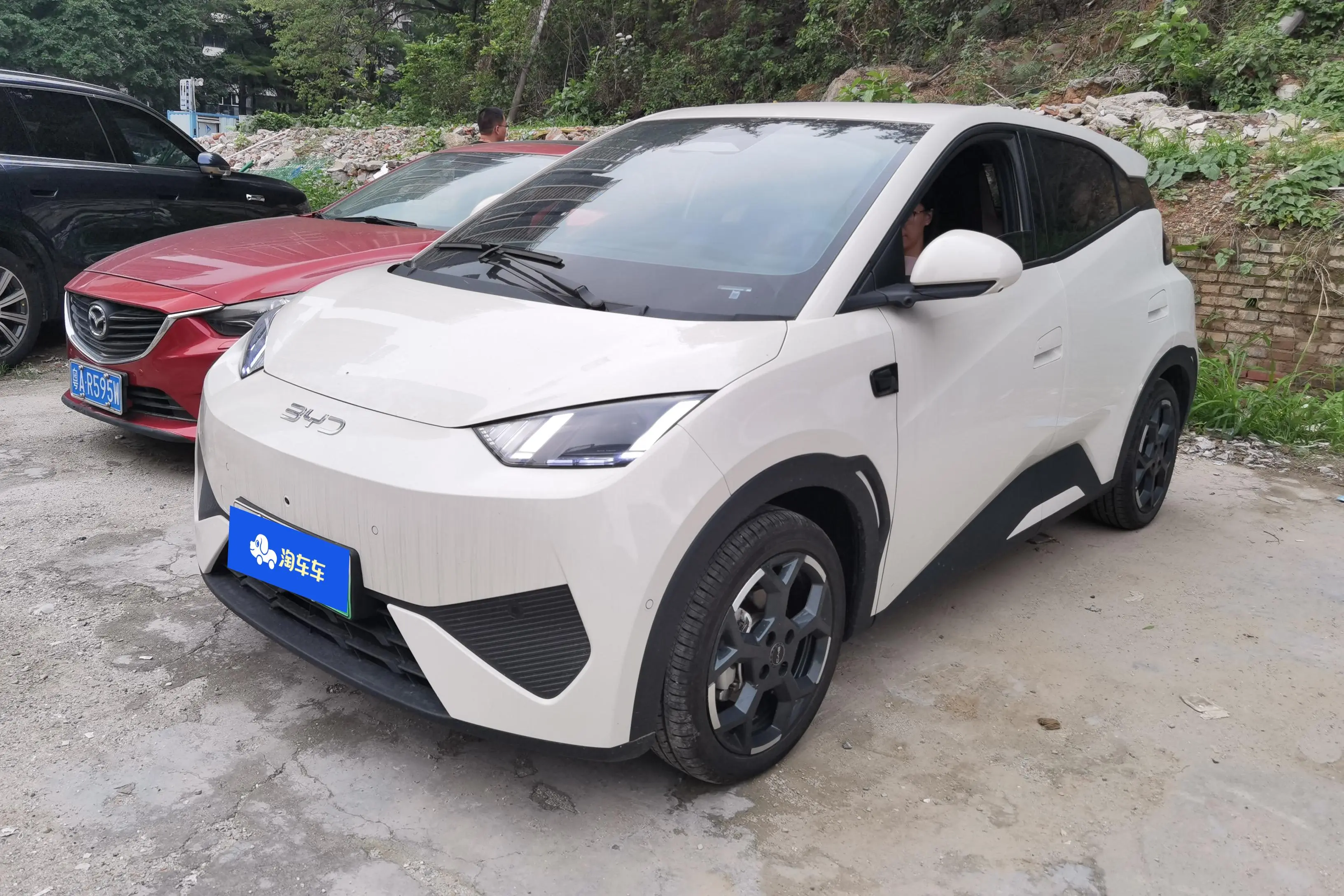 BYD Seagull