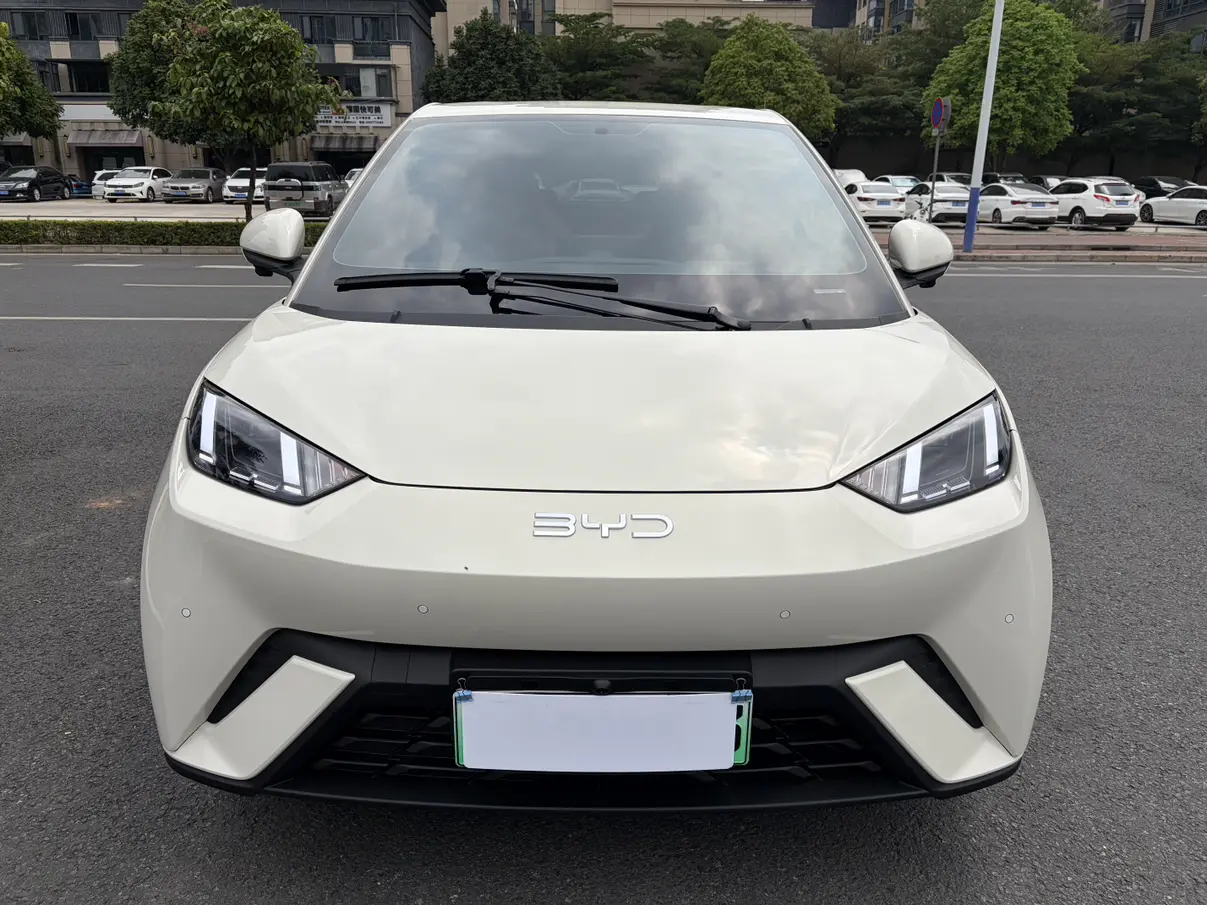 BYD Seagull