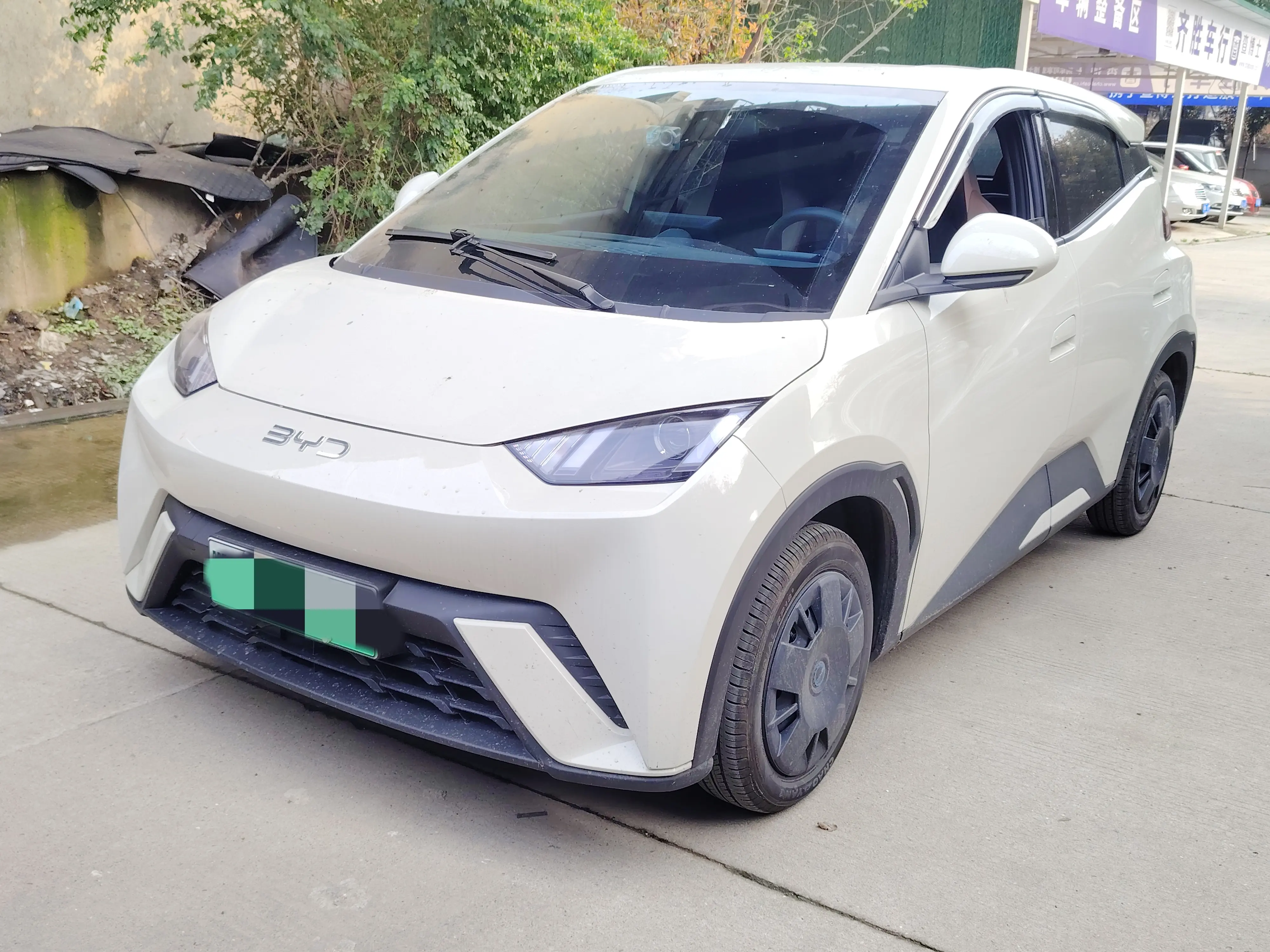 BYD Seagull