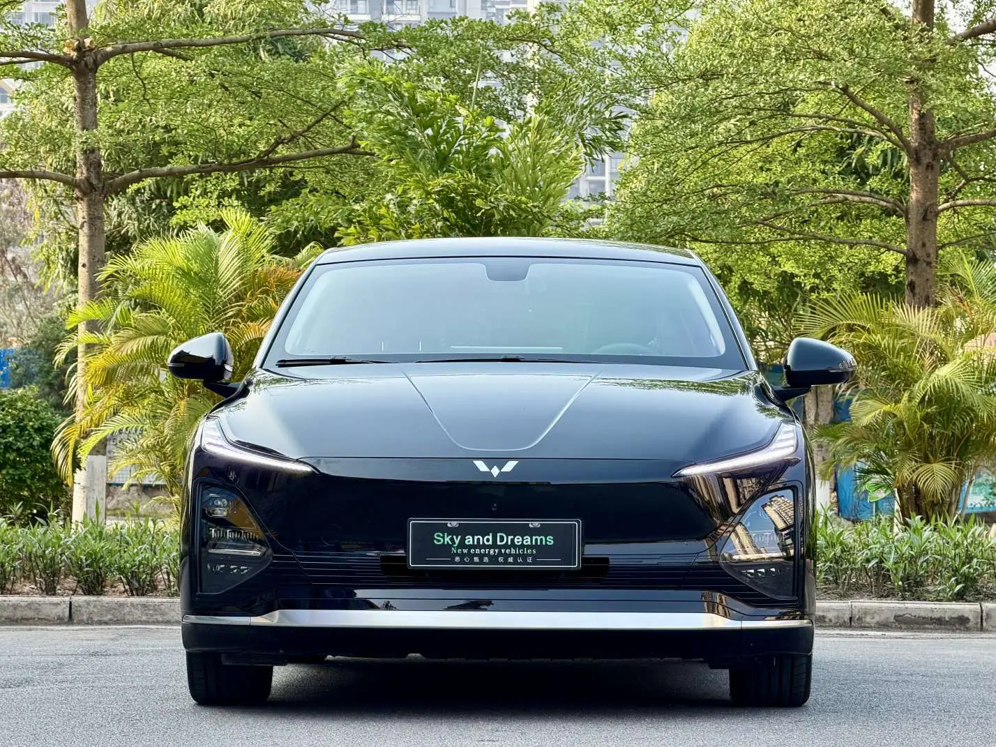 Wuling Starlight EV