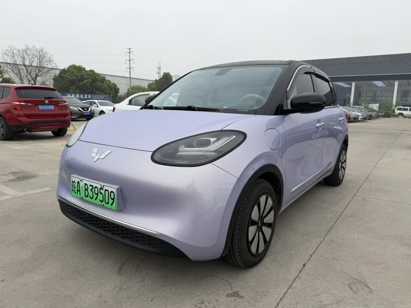 Wuling Bingo