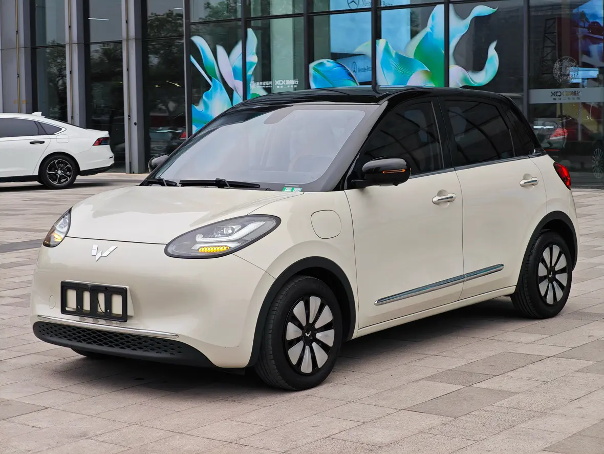 Wuling Bingo