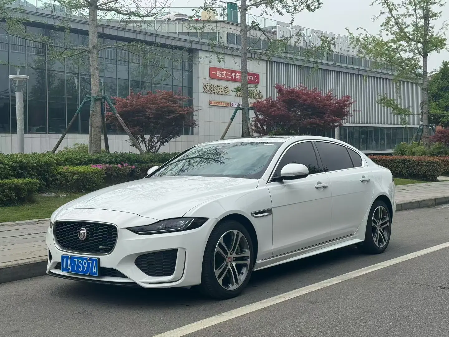 Jaguar XEL