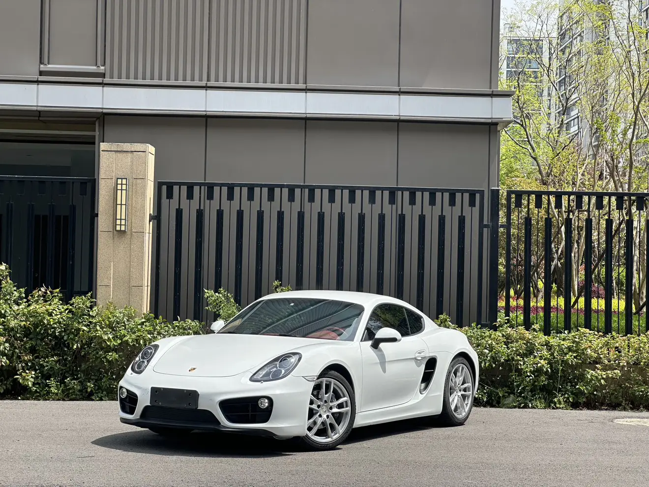 Porsche Cayman