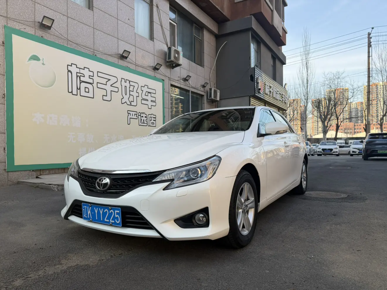 Toyota Ruizhi